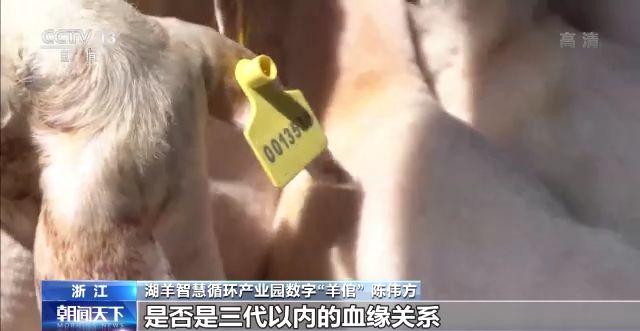 一线调研丨智能化为农业插上快飞的“翅膀”