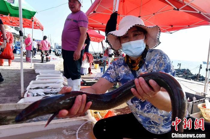 山东青岛：开海首日市民渔港“抢鲜”