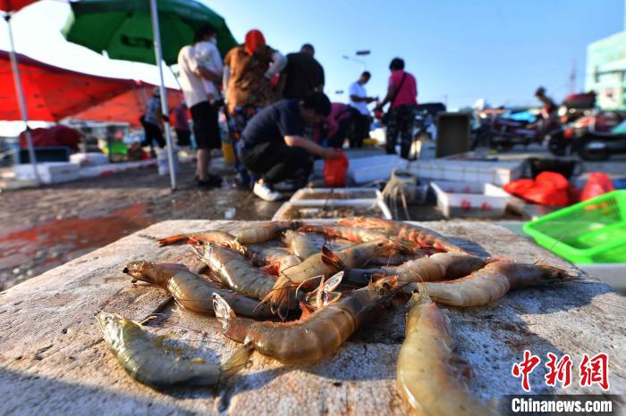 山东青岛：开海首日市民渔港“抢鲜”