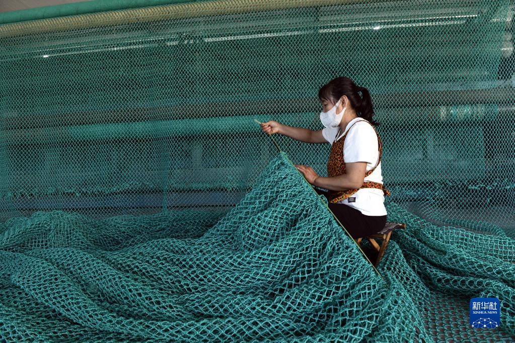 山东无棣：小渔网织就富民大产业