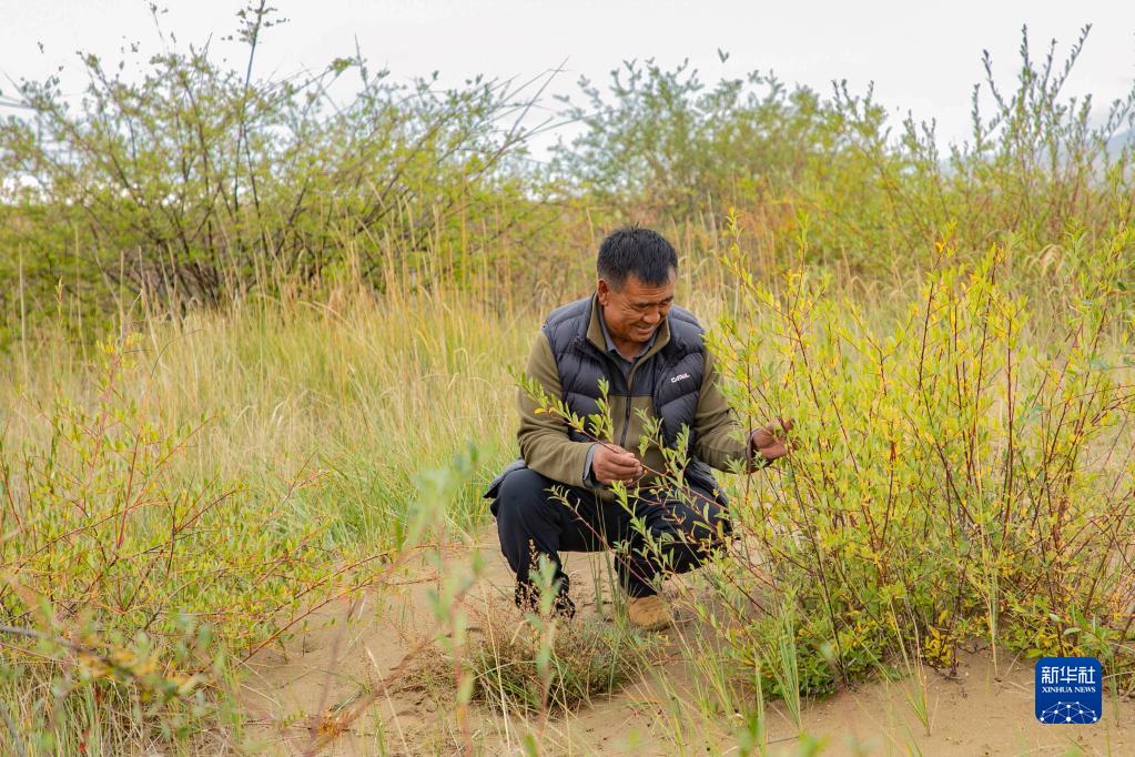 甘肃玛曲：保护草原生态 涵养黄河水源