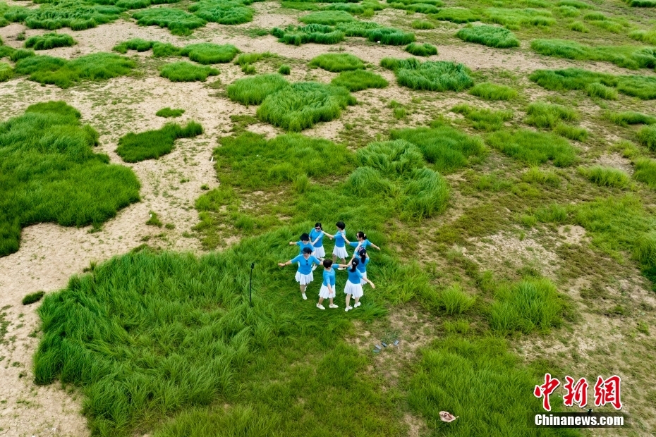 南京石臼湖再现网红“龙猫草海”
