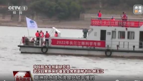 2022年长江江豚科考第二天 首批发现的江豚群中有“小朋友”