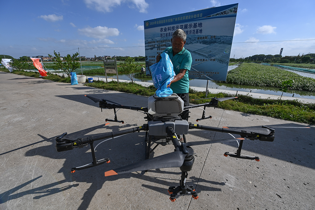 9月20日，在位于织里镇乔溇村的溇港人家太湖蟹生态养殖基地内，蟹农在给无人机装饲料，准备用无人机给螃蟹喂食。