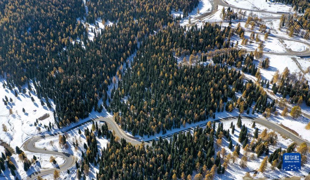 新疆十年新增公路6.22万公里