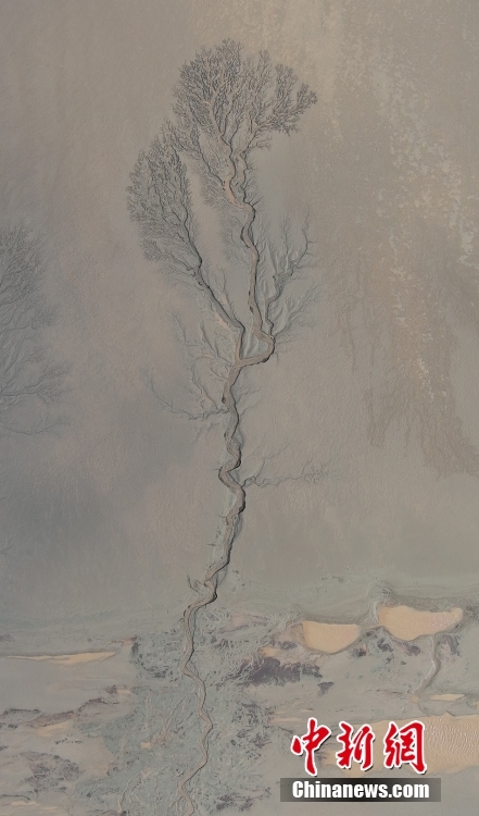 航拍钱塘江大潮“画”就的“大地之树”
