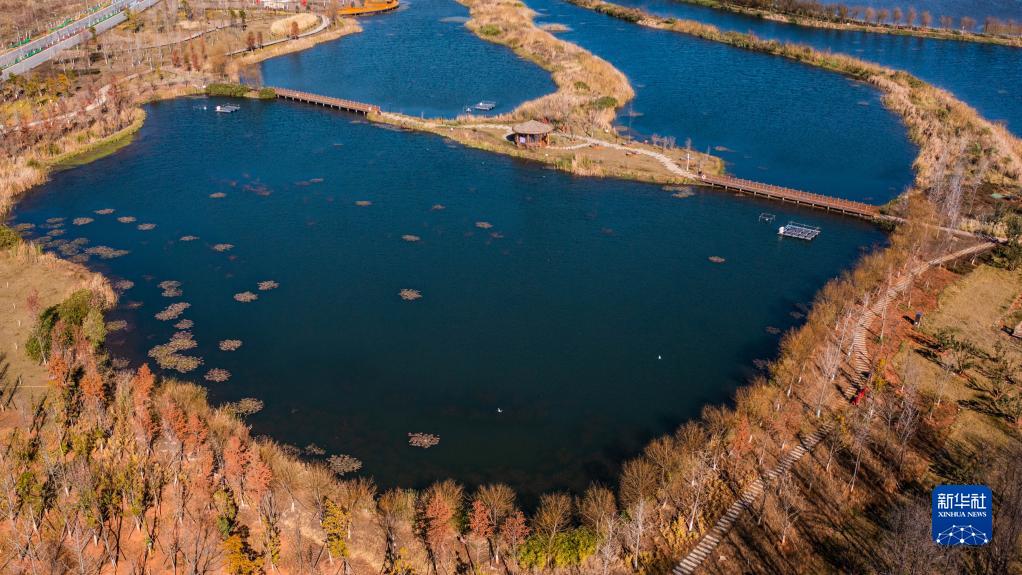 云南滇池连续五年全湖保持Ⅳ类水质