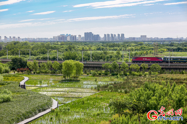 北京今年将再添22处休闲公园和城市森林