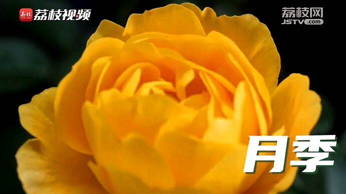 植树节短视频 | 改变世界的中国绿意