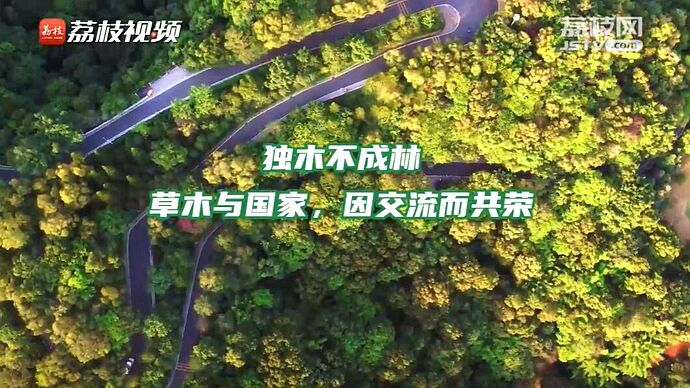 植树节短视频 | 改变世界的中国绿意