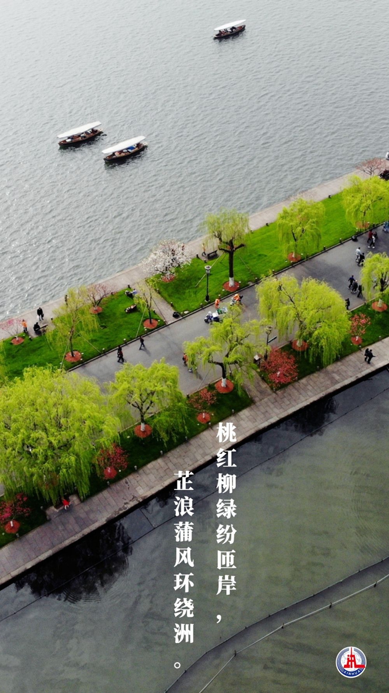新华全媒+丨植树传统，从古诗中走来