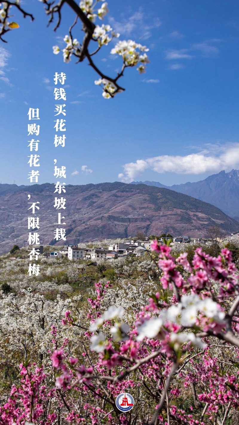 新华全媒+丨植树传统，从古诗中走来