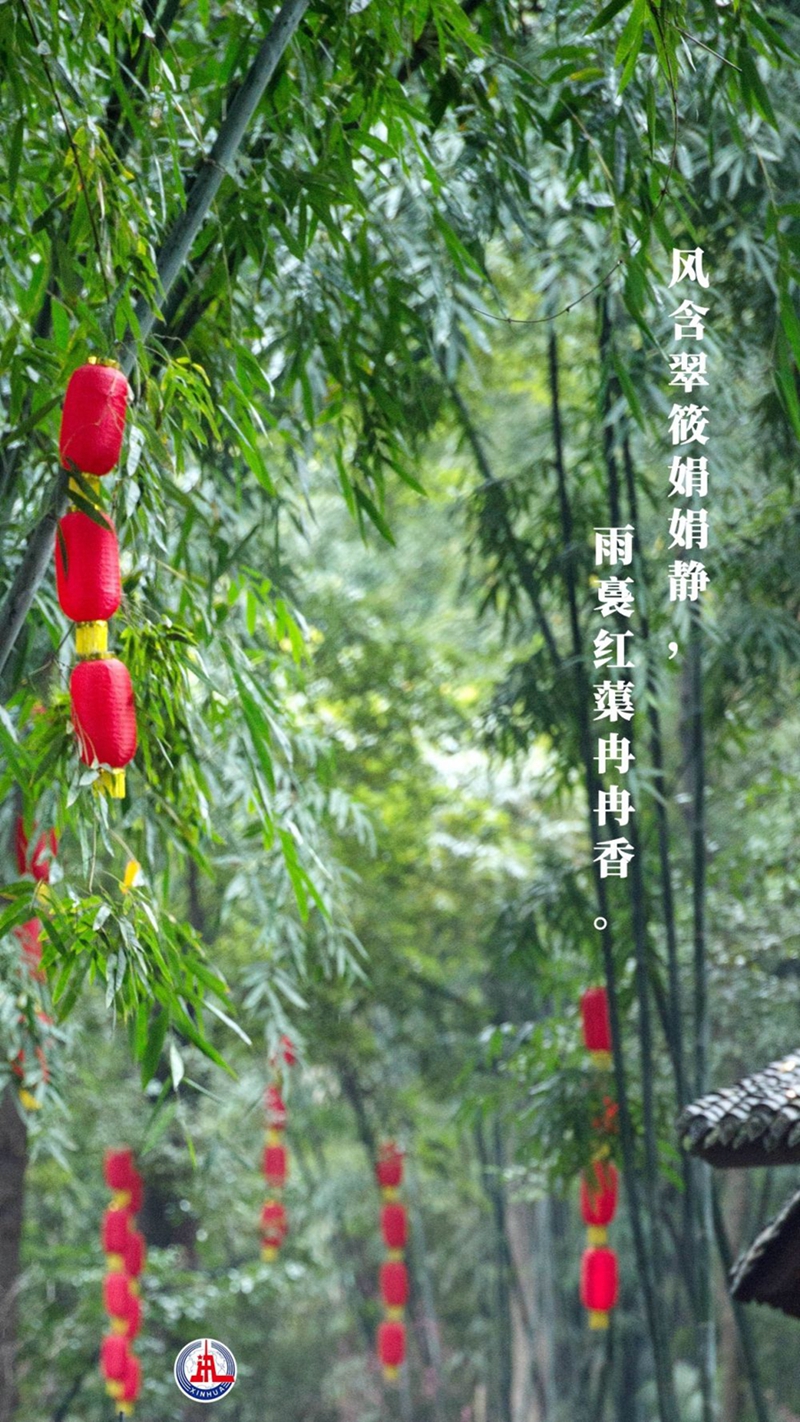新华全媒+丨植树传统，从古诗中走来