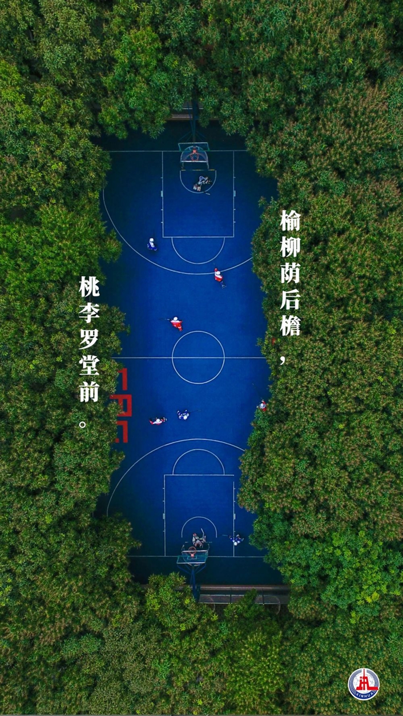 新华全媒+丨植树传统，从古诗中走来
