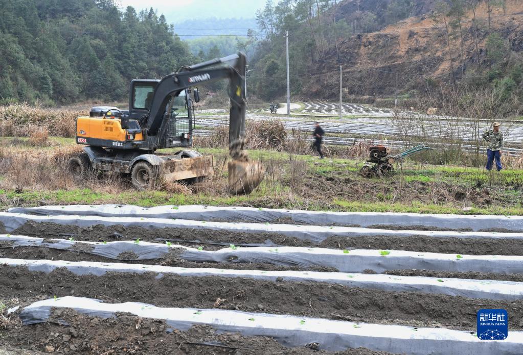 福建寨里：积极探索撂荒地治理新模式