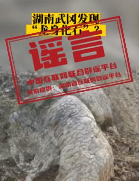 湖南武冈挖出“龙身化石”？
