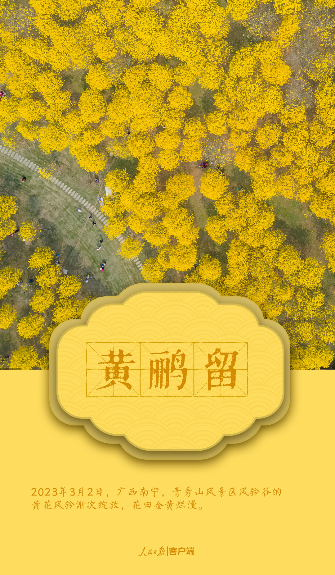 春天里的中国色，美到惊艳！