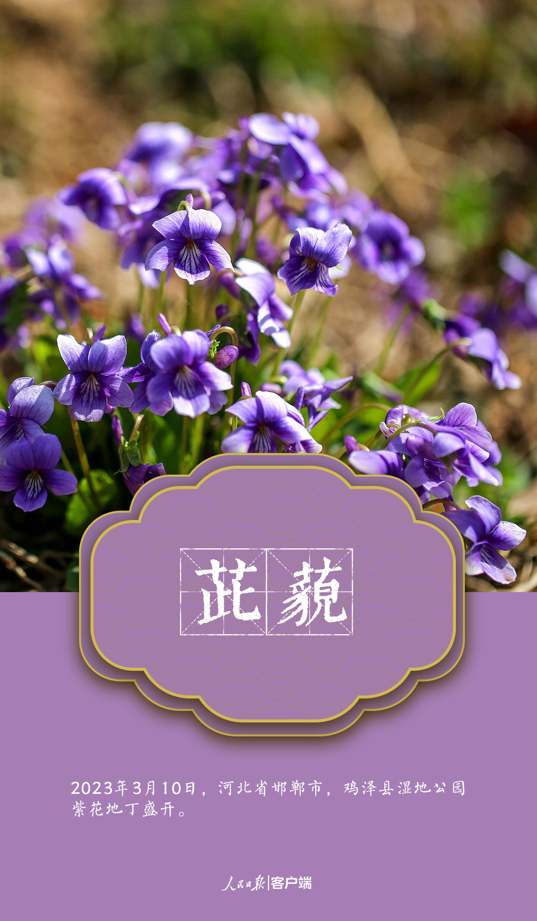 春天里的中国色，美到惊艳！