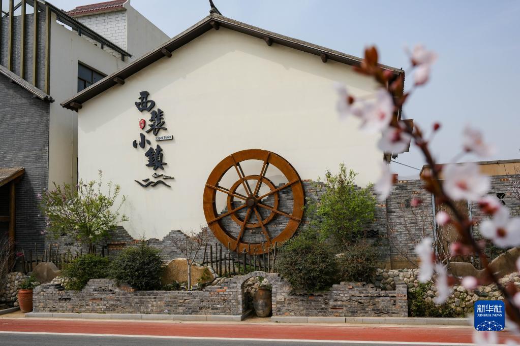 河南西裴村：绘就乡村振兴的美丽画卷