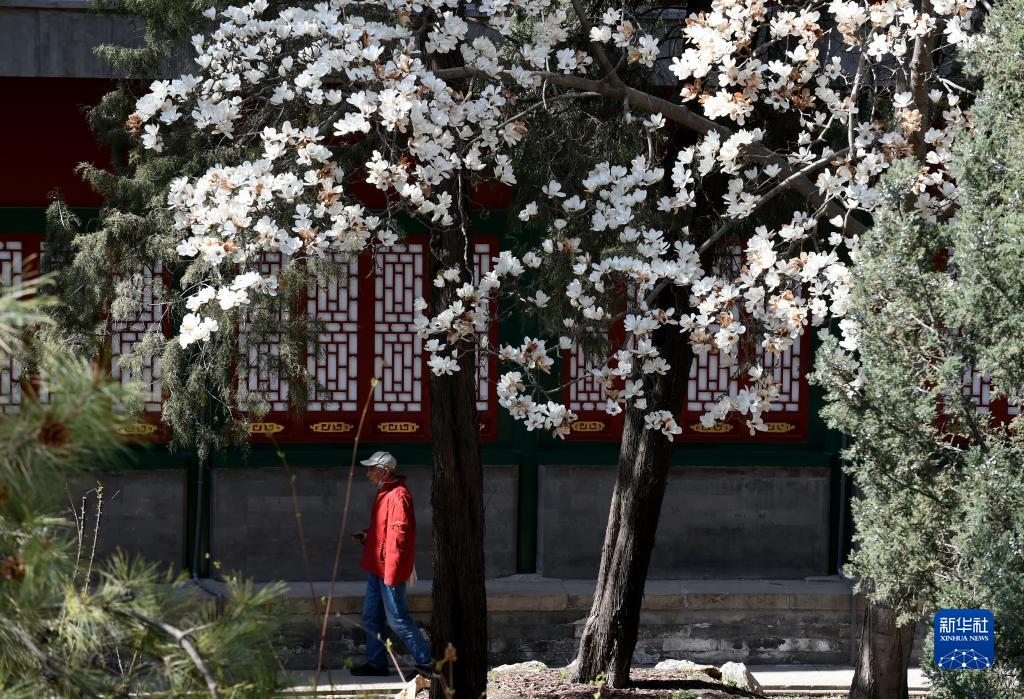 春花烂漫 乐享春光