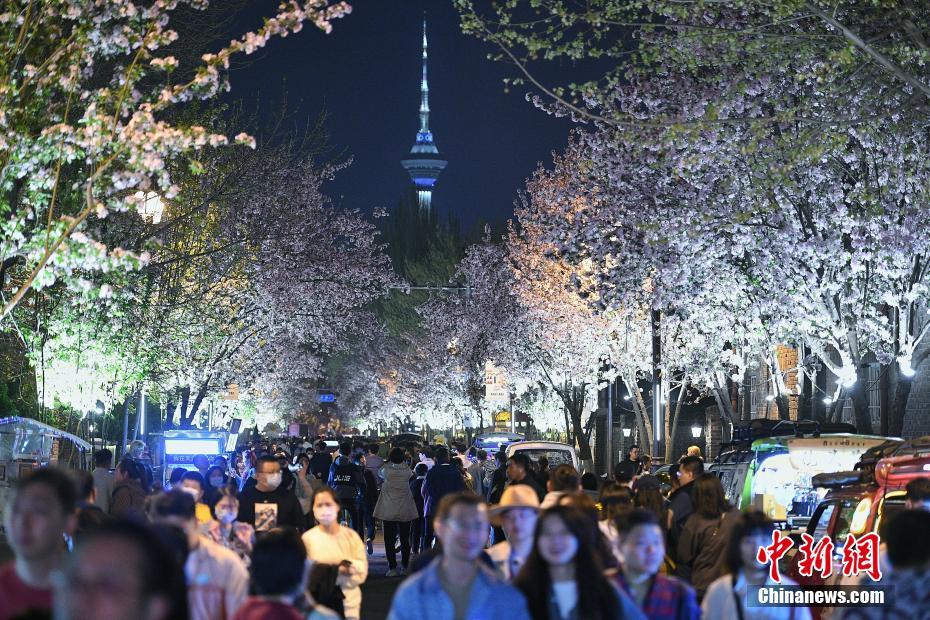 天津首届海棠花节启幕