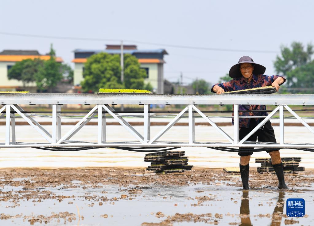 “数智化”管理助力春耕