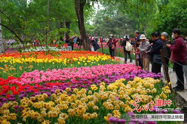 北京市公园“五一”假期推出28项特色文化活动
