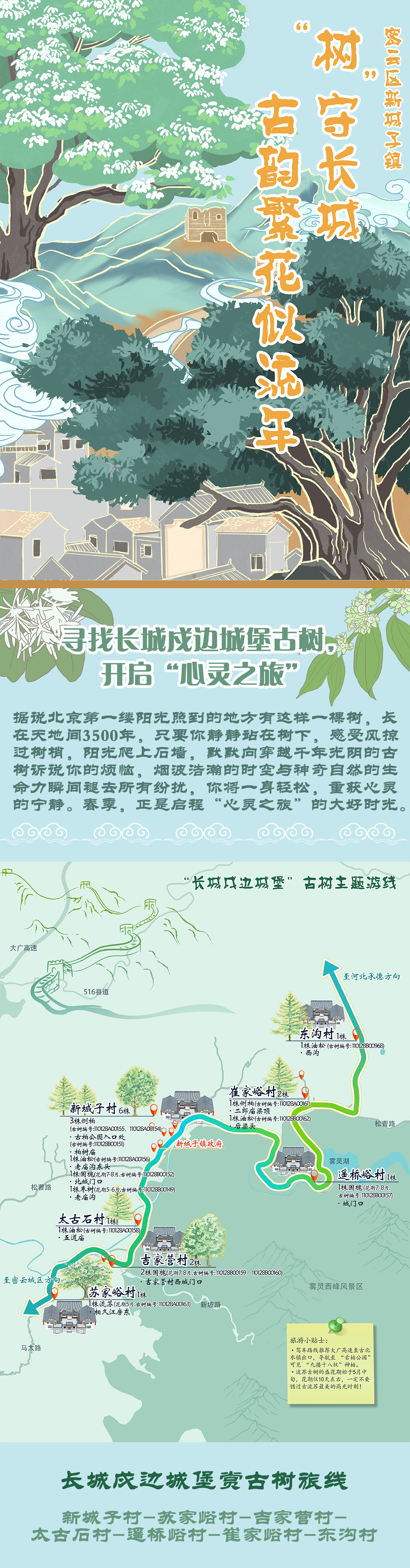 北京发布4条春季古树主题游览路线