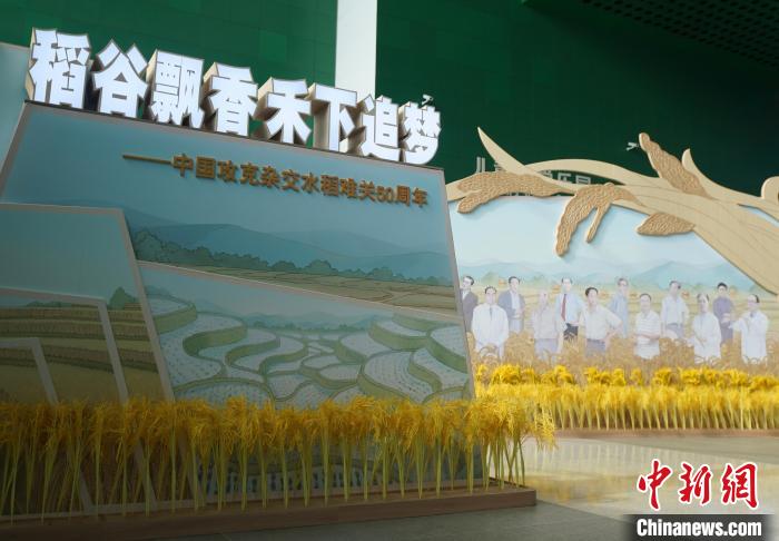 中国攻克杂交水稻难关50周年展览在中国科技馆开幕
