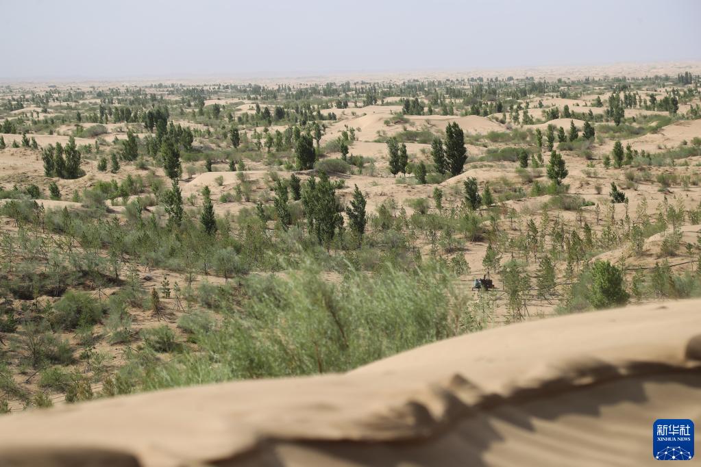 内蒙古库布其沙漠生态治理效果显著