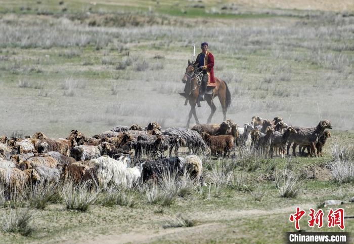 新疆福海举办百万阿勒泰羊转场文化旅游节转场仪式