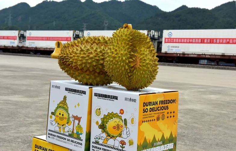 泰国榴莲“坐”火车来成渝地区！网友：能带它上高铁吗？