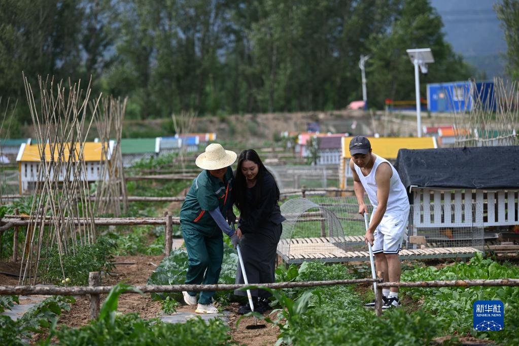 河北隆化：“共享农场”绘就乡村振兴新画卷