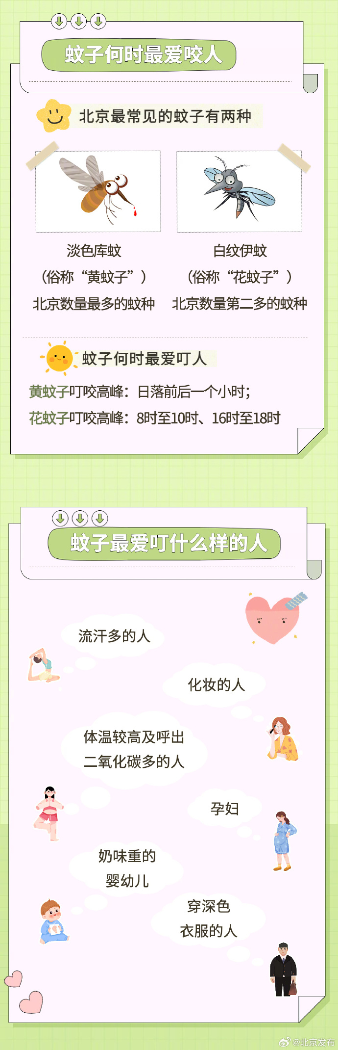 一图读懂 夏季如何防蚊