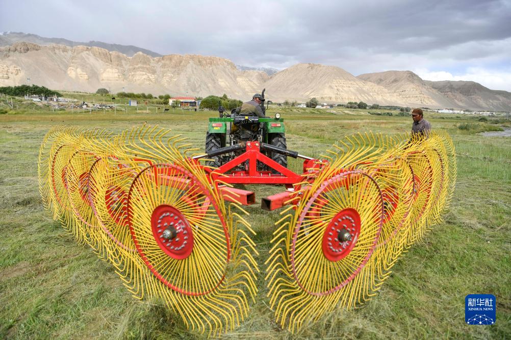 新疆帕米尔高原牧区打草季收割忙