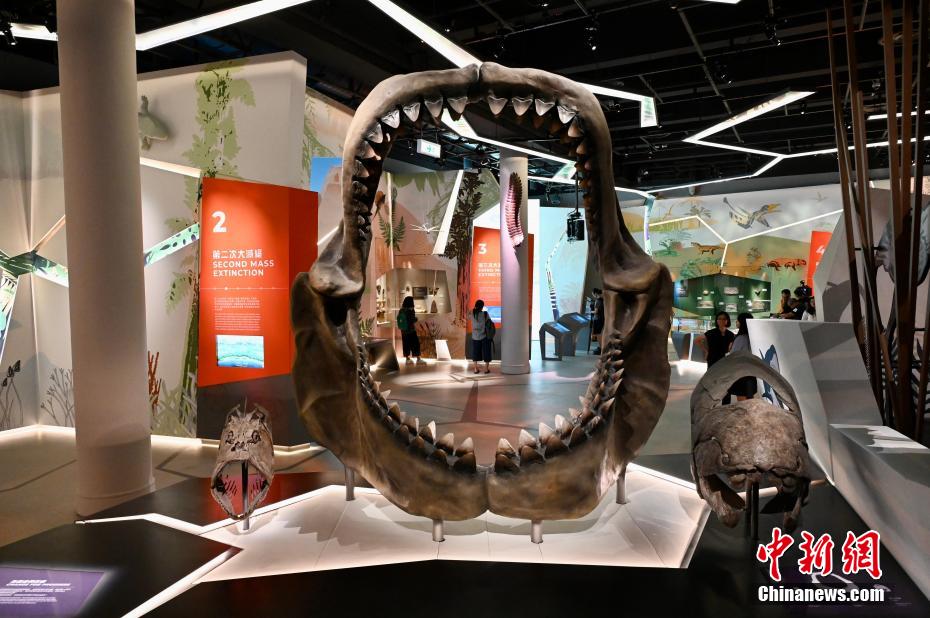 香港科学馆展览展示6.35亿年以来地球生命的演化