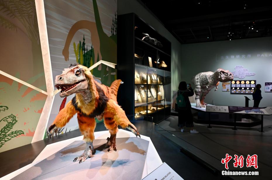 香港科学馆展览展示6.35亿年以来地球生命的演化