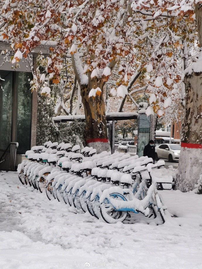 停课、停运、启动二级响应 河南明日降雪继续 停课、停运、启动二级响应 河南明日降雪继续