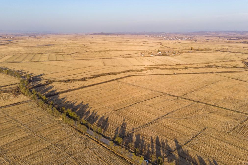 粮食产量连续14年位居全国第一，为什么是黑龙江？