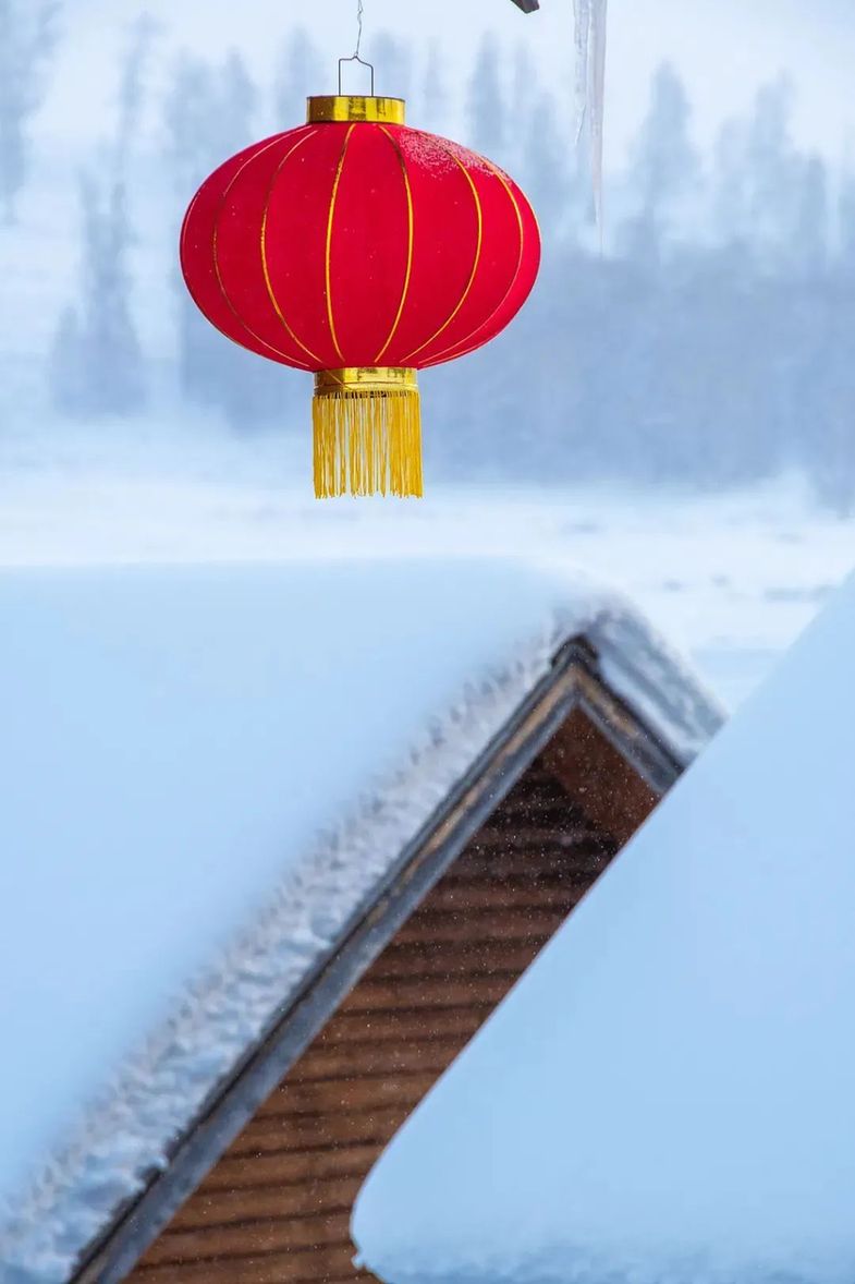 今日大寒｜寒尽春来，共待花开