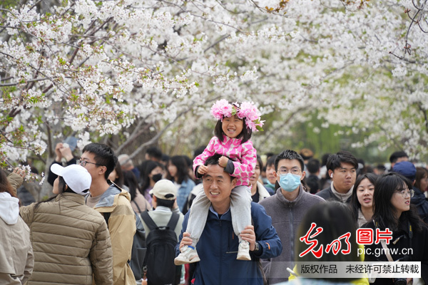 北京公园清明假期接待游客544.93万人次