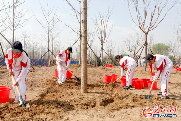 第40个首都义务植树日：北京129万人次参与义务植树