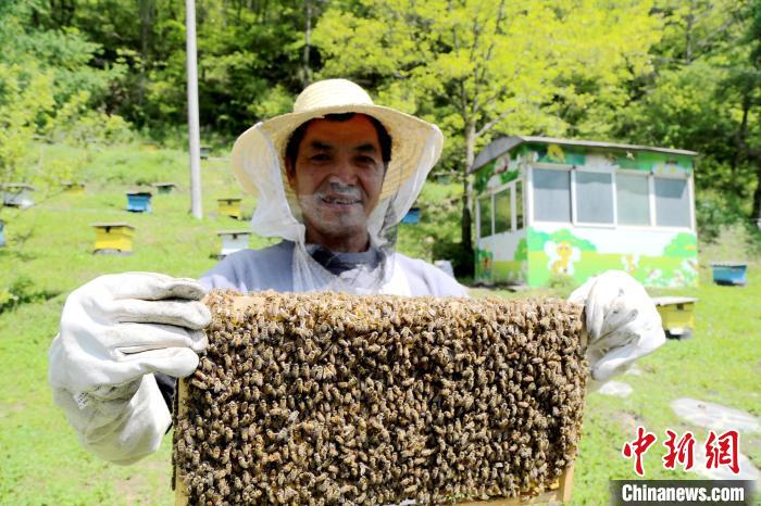秦岭腹地三代养蜂人的“变”与“不变” 秦岭腹地三代养蜂人的“变”与“不变”