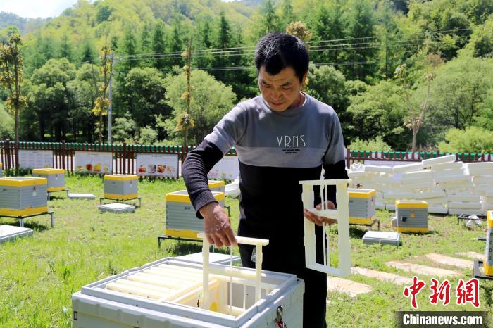 秦岭腹地三代养蜂人的“变”与“不变” 秦岭腹地三代养蜂人的“变”与“不变”