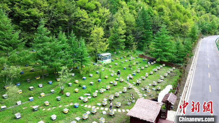 秦岭腹地三代养蜂人的“变”与“不变” 秦岭腹地三代养蜂人的“变”与“不变”