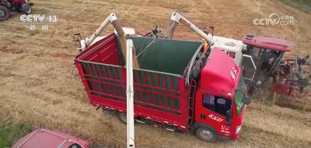 北方高温天气持续发展 专家支招抗旱做好夏种夏管