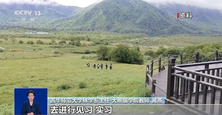 边“撸熊猫”边上学？全国首个大熊猫学院正式招生啦