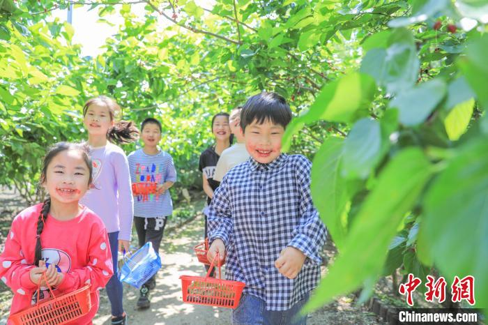 鱼桑古村解锁文旅“密码” 千年农遗绘就新“丰”景