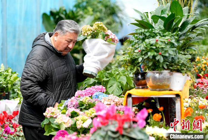 西藏拉萨：藏历新年近 市民花市选年货