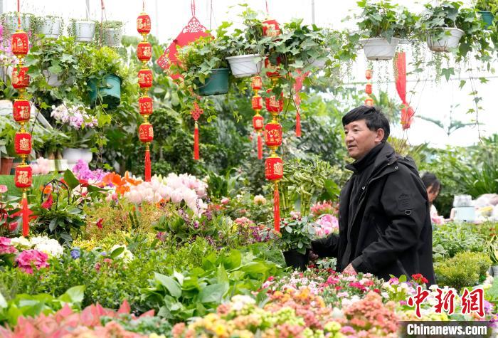 西藏拉萨：藏历新年近 市民花市选年货